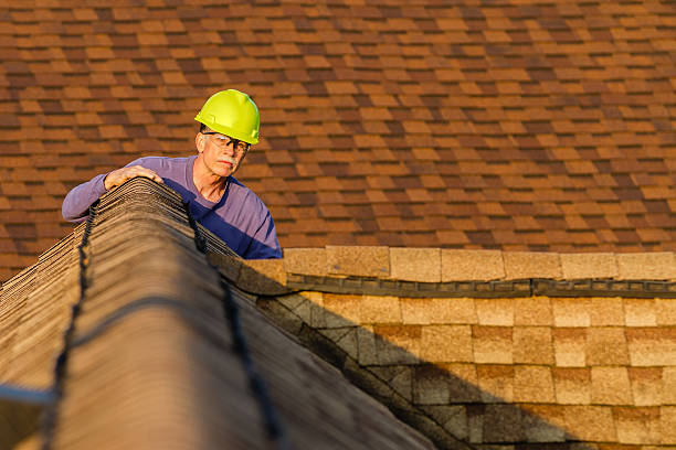 Best Roof Repair Services  in Birngham, MI